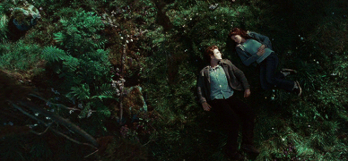 tumblr c9aaa761d18ccc0705971837cf972019 117a56be 540.gif