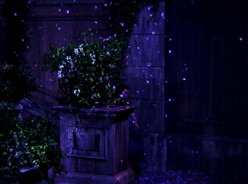 tumblr 65c6b6d79d66be452f9894b97697b9a9 6c5e66ca 540.gif