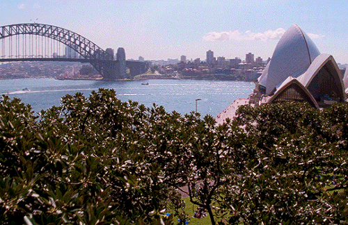 tumblr 11f5123b044f8a7b1cc669da3608545e 8703c37f 540.gif