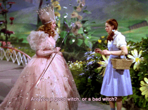 tumblr 698f84b1526b380ddd349d79683c6635 eb93f967 540.gif