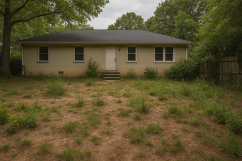 ChatGPT Image May 25, 2025, 12 29 24 PM.png