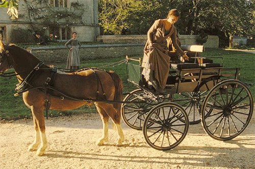 tumblr a8c32cfeaff535c87502a3280cfa531c d756eee2 540.gif