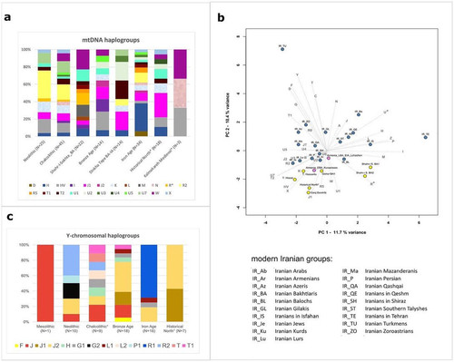 Gq MpcJWkAALQor?format=jpg.jpg
