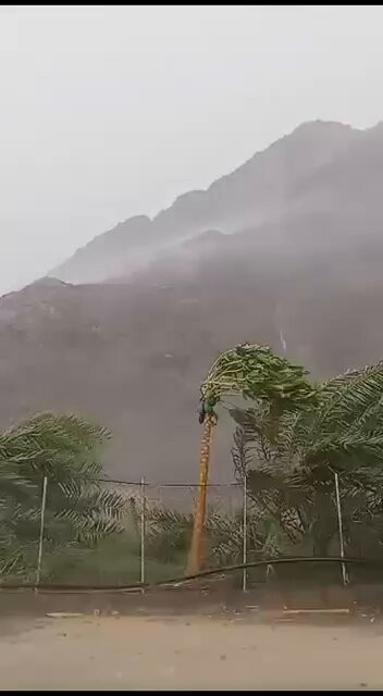 jBpFEhT6JG QYr1u.jpg