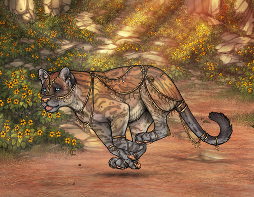 Screenshot 2025 05 24 213006.png