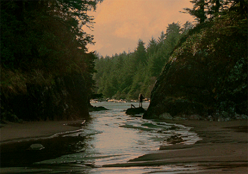 tumblr 6afdc4dfa34626177bf5cdd3234c1d78 f7c98d42 540.gif