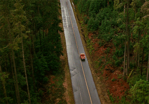 tumblr 4d73eb5e046625f39fdc0919a26f3bf3 a3997191 540.gif