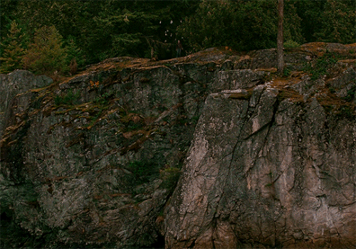 tumblr 46c694dd0c95b66311f742c661807140 ffa2551a 540.gif
