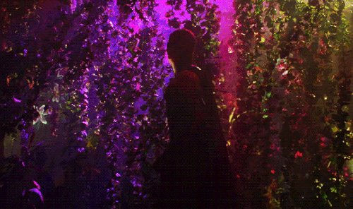 tumblr 781a289396bb751c8d60f620904fa92c f12cfb7e 540.gif