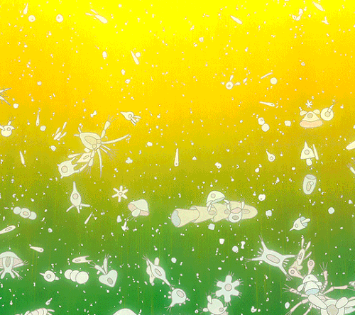 tumblr 4deff51ba0cf818534c57384fc2ac129 5924e54a 540.gif