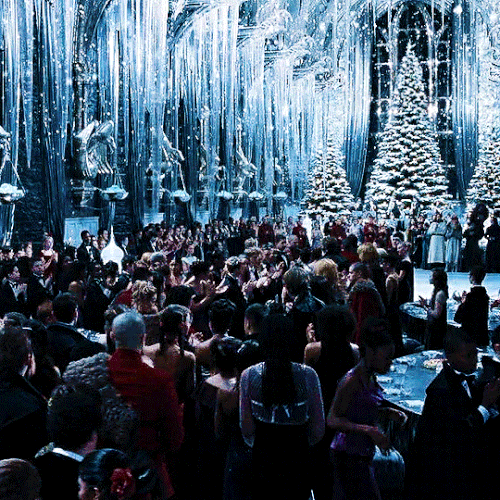 tumblr a0d24a56c3abce3ddc33a2329a6af6be 45bbfd12 540.gif