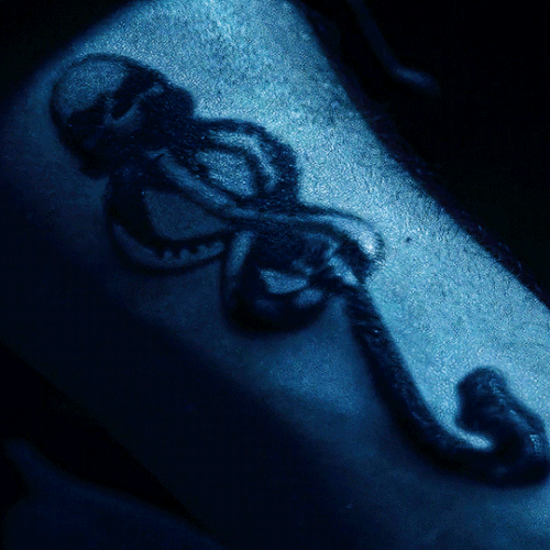 tumblr 7f2901367daec39ea08905771fcad2cb 92214f00 540.gif