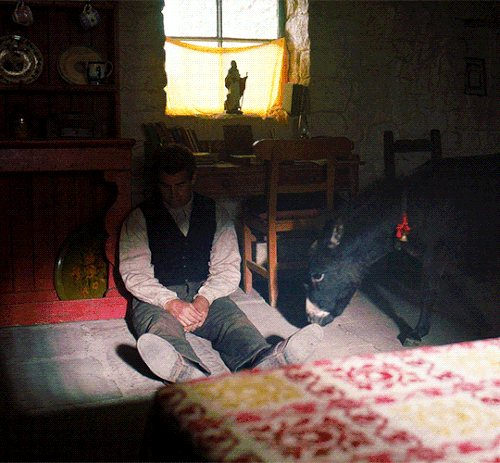 tumblr 1a5953024fe58b558fcc6c9ccd0d5de5 25aa94de 540.gif
