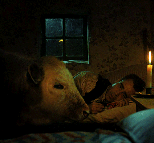 tumblr 3613cf2b6453eef5d5faf5ad95307a1b f63375d2 540.gif