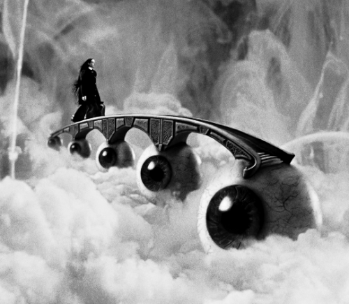 tumblr 3901383a6a7688334b7fb2bc7806e8d4 1e419b9f 540.gif