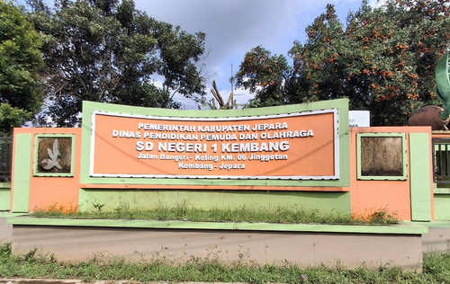 WhatsApp Image 2025 01 11 at 09.01.17.jpg