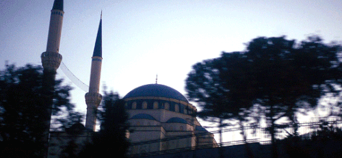 tumblr 165d9f9eddc6f096ecdcb22b8f82eda6 e1f4c8db 540.gif