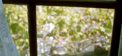 tumblr 9a4c99f7e48e4b1a58cfd05397e9b968 85efca57 540.gif
