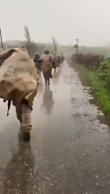 Nx2GdAGHf tyMZ4F.jpg