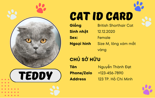 Cat ID Card.png