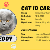 Cat ID Card