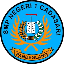 images removebg preview.png