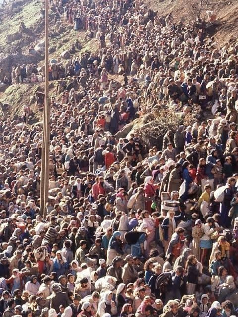 500170277 1221301679667987 4723088888462137842 n.jpg? nc cat=111&ccb=1 7& nc sid=833d8c& nc ohc=qGiL.jpg