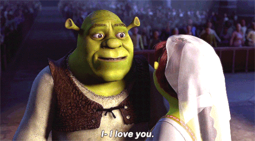 tumblr 3f45a4a3fbffa29ada16a020cb595161 52df2961 540.gif