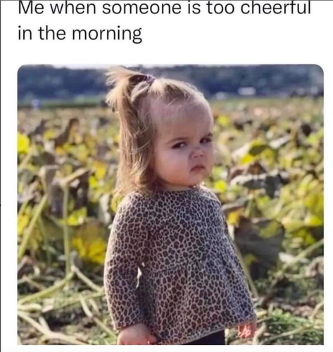 Screenshot 2025 05 23 at 10.11.25 AM.png