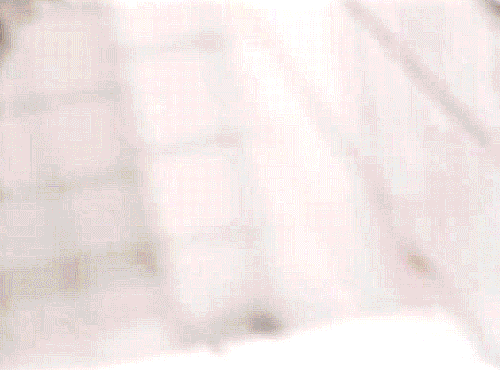 tumblr 4e0e2c166922fed2c28ce353aa960546 c118cdf5 540.gif