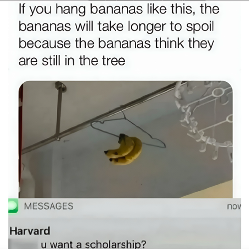 Screenshot 2025 05 23 at 10.57.12 AM.png