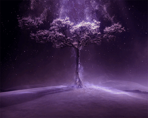 tumblr e5cd5ce0f4a33abad3889a3170fc0df4 8335a857 540.gif