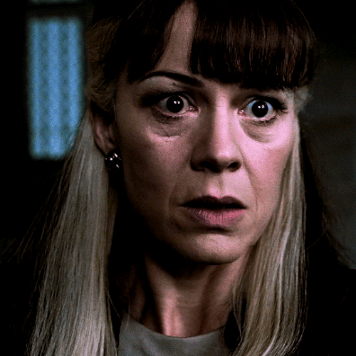 tumblr 8c692d6dffd0f3d2037df8e69d063853 d8cc90a6 540.gif