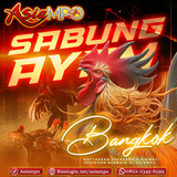 ASIAMPO SABUNG AYAM BANGKOK 1