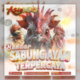 ASIAMPO BANDAR SABUNG AYAM TERPERCAYA