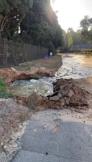 4SOA CF pd5aIuyd.jpg