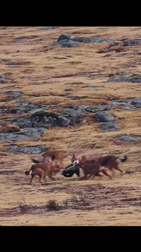 3rO6mIkfK q9kKsp.jpg