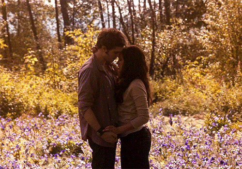 tumblr fb150a4fff26067a1077928e166ebc8f 819127bf 540.gif