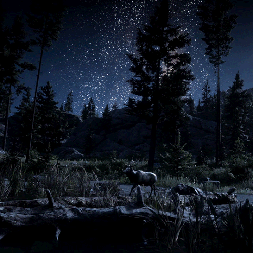 tumblr ac20412f39344672dfff6818c04a18d5 767018c7 540.gif