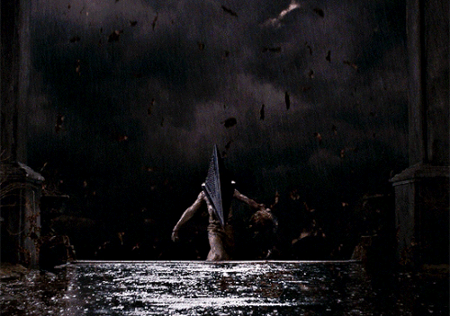 tumblr eec5a56f742d2fd4909a1b265e63b87a 39165c89 540.gif