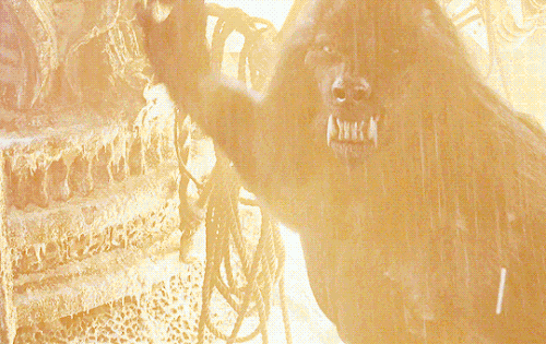 tumblr 710e3f5e605c34996f85306c10831f33 292b0cc0 540.gif