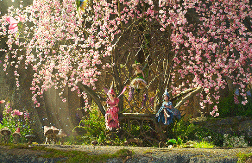 tumblr c1345f6bf8e7f28010b3ee8a8accbab3 8f5210e0 540.gif