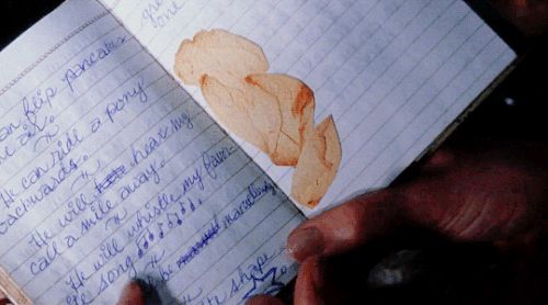 tumblr 708350f27f6eb8f038f368148c90d9dd 40bc26a0 540.gif