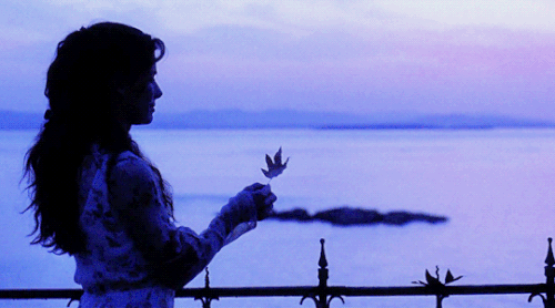 tumblr 4cfa588ef4bb5087b89b44eed7ce8fd7 697d1485 540.gif