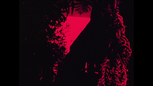 vlcsnap 2025 04 20 14h09m48s898.png