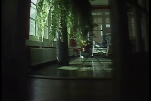 vlcsnap 2025 04 19 14h25m43s990.png