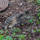 DSC 0076 DxO