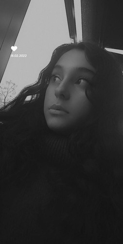 3E54D6F.md.jpg