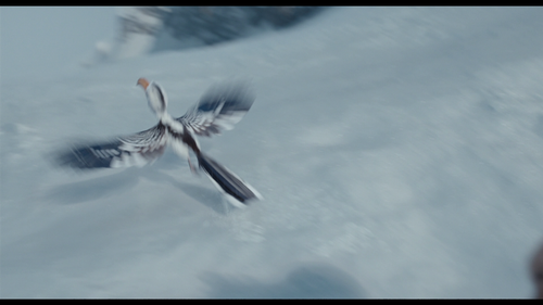 589219313 00705 4425.png