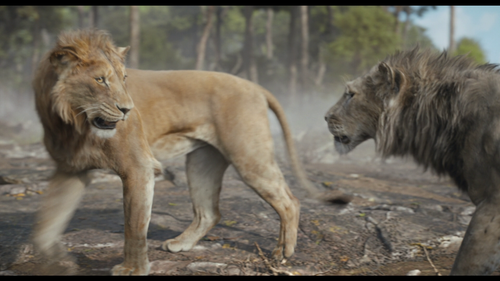 589219289 00705 2655.png